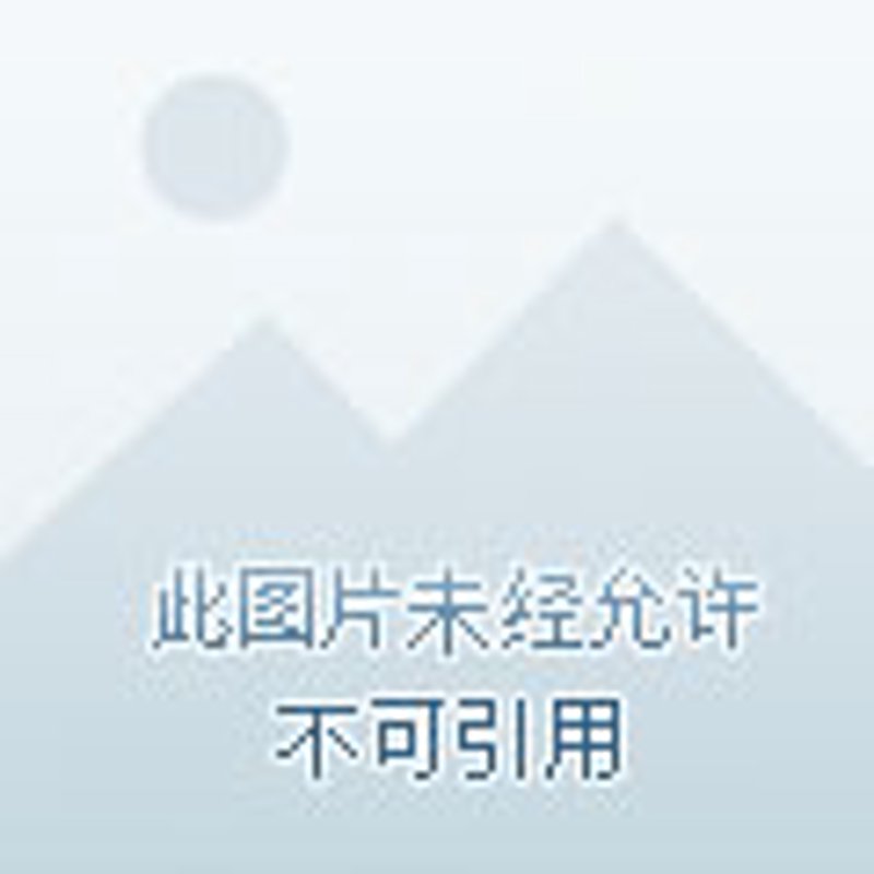 垫江网站建设：构建区域信息高速公路的关键